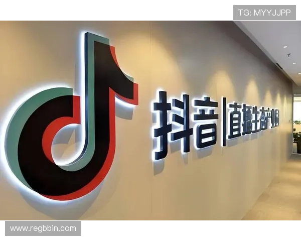 bbin宝盈集团官网首页平台安全措施与风险控制策略，确保用户资金安全